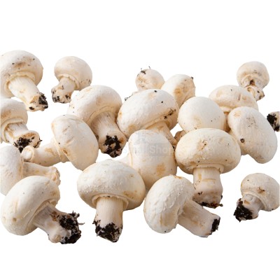 Шампиньоны свежие 500 г - купить в Бятках